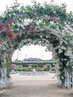 �������K�N14