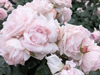 �������K�N56