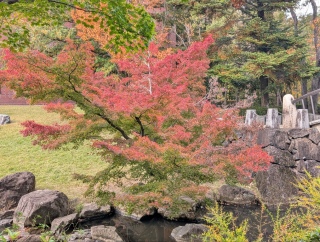 �������̏H