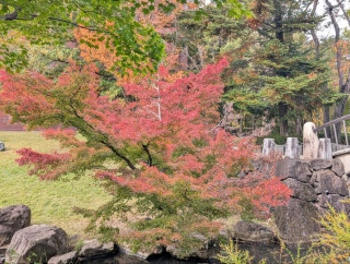 ��������2