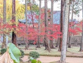 �g���̍���2