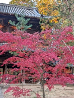 �g���̍���5