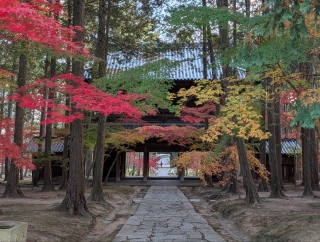 �g���̍���8