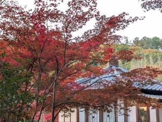 �g���̍���10