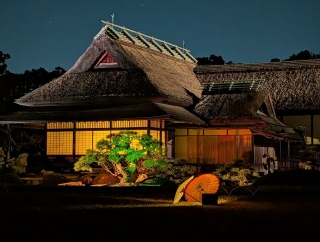 �g���̍���14