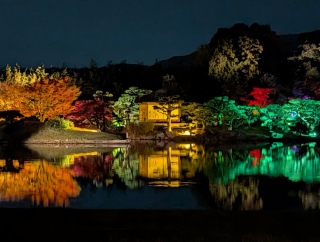 �g���̍���13