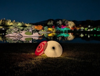 �g���̍���15