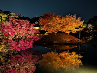 �g���̍���18