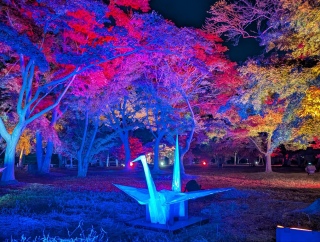 �g���̍���23