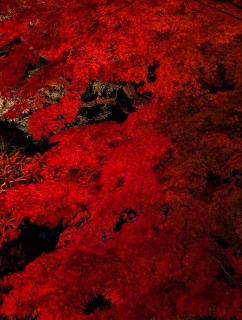 �g���̍���32