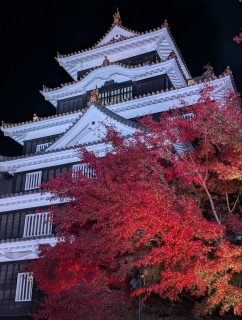 �g���̍���34