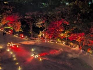 �g���̍���37