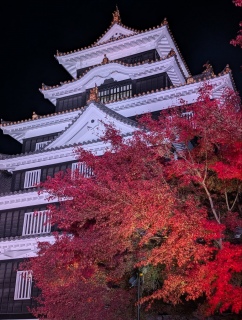 �g���̍���39