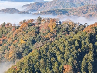 �g���̍��яH40