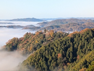 �g���̍��яH42