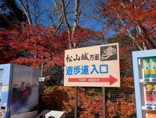 �g���̍��яH43