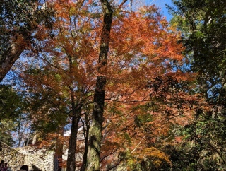 �g���̍��яH45