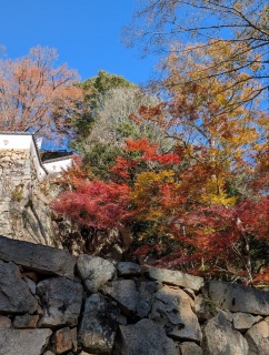 �g���̍��яH46