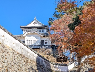 �g���̍��яH50