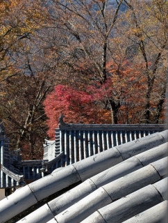 �g���̍��яH55