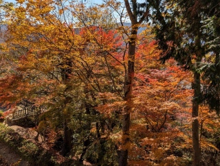 �g���̍��яH64