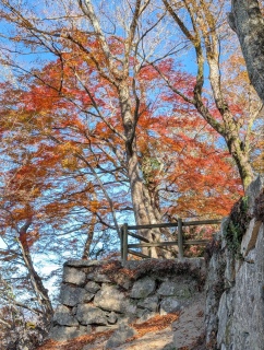 �g���̍��яH69