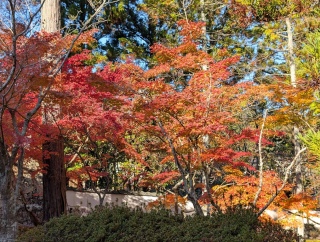 �g���̍��яH74