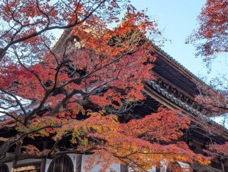 �g���̍��яH77