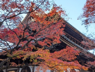 �g���̍��яH76