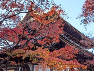 �g���̍��яH77