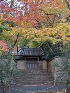 �g���̍��яH79