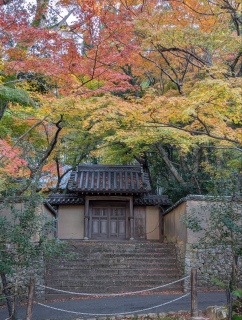 �g���̍��яH80