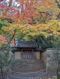 �g���̍��яH78