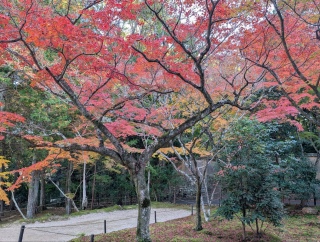 �g���̍��яH83