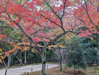 �g���̍��яH82