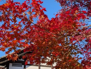 �g���̍��яH89