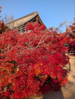 �g���̍��яH92