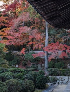 �g���̍��яH96