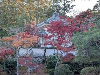 �g���̍��яH98