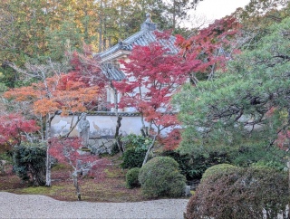 �g���̍��яH100