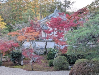 �g���̍��яH99