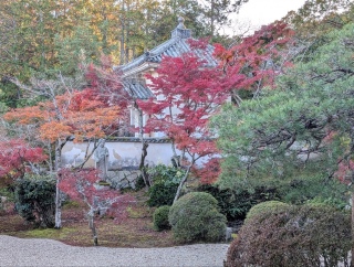 �g���̍��яH101