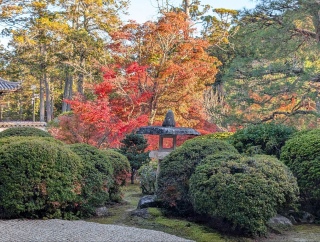 �g���̍��яH103