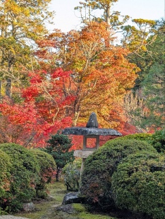 �g���̍��яH104