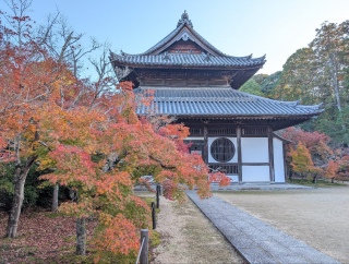 �g���̍��яH111