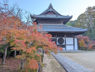 �g���̍��яH110