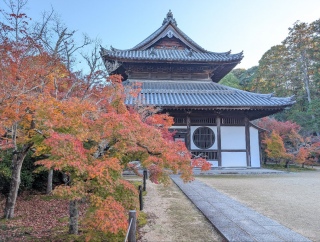 �g���̍��яH109