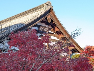 �g���̍��яH117