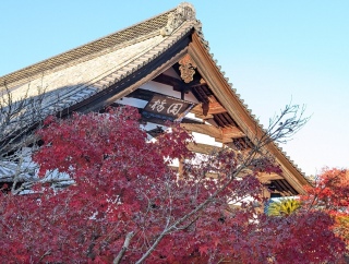 �g���̍��яH115