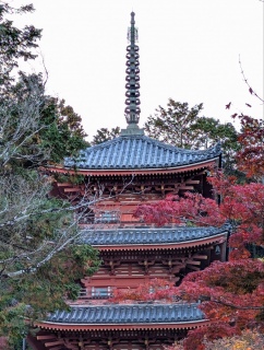 �g���̍��яH119